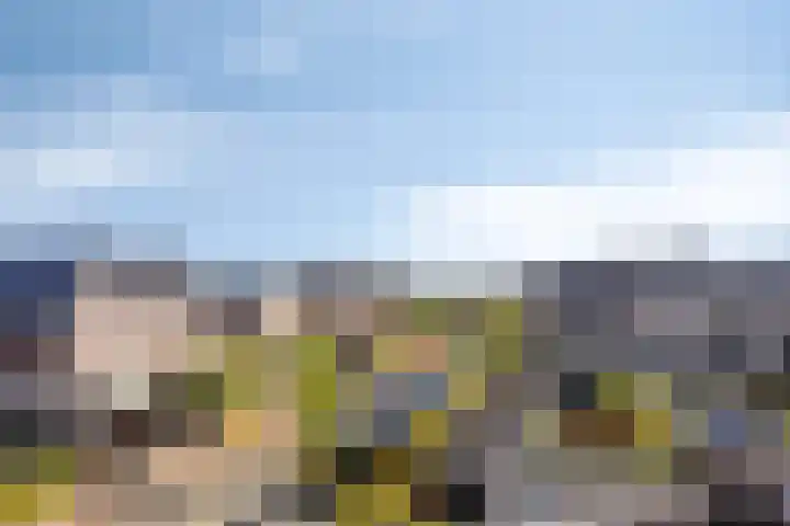 Treurwilg 1 Kampen thumbnail 38