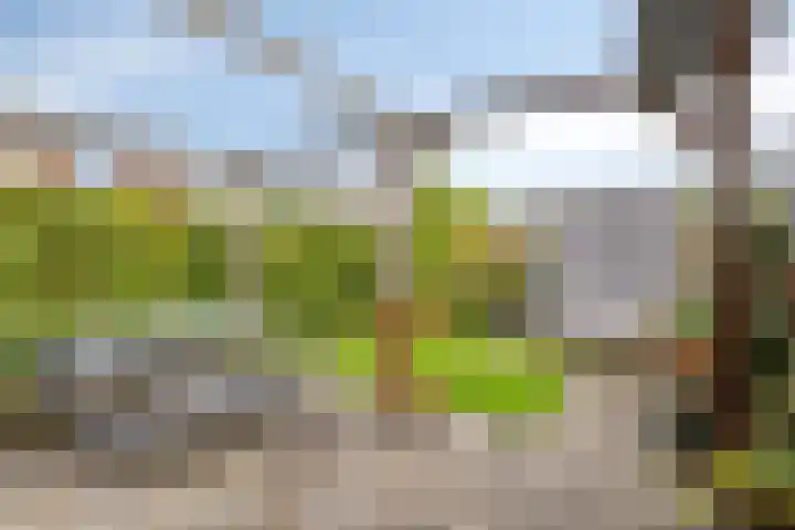 Treurwilg 1 Kampen thumbnail 39