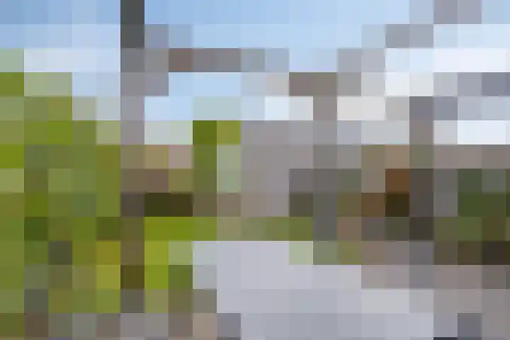 Treurwilg 1 Kampen thumbnail 40