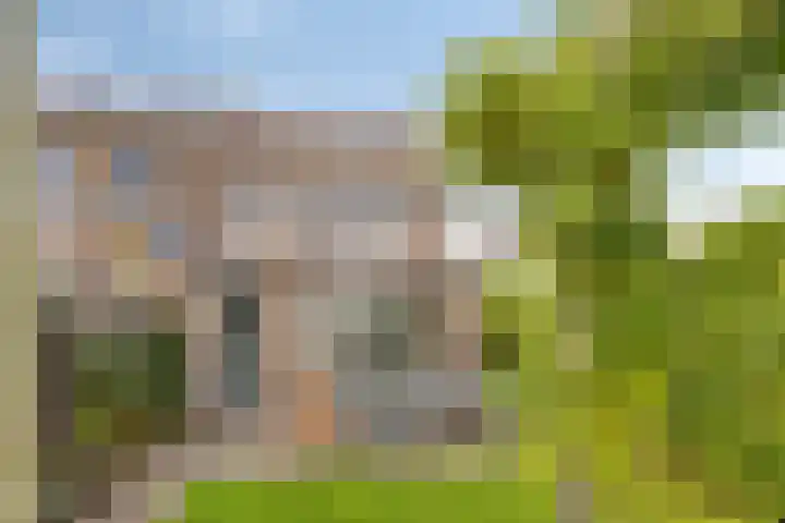 Treurwilg 1 Kampen thumbnail 41