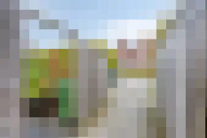 Treurwilg 1 Kampen thumbnail 43