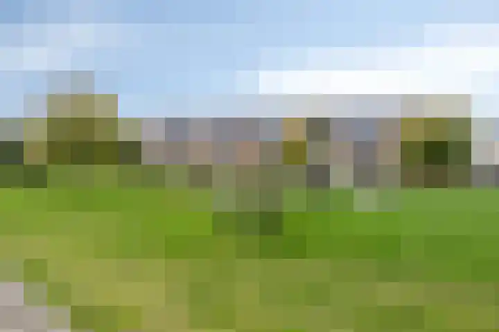 Treurwilg 1 Kampen thumbnail 46