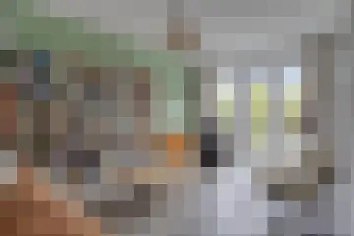 Treurwilg 1 Kampen thumbnail 9