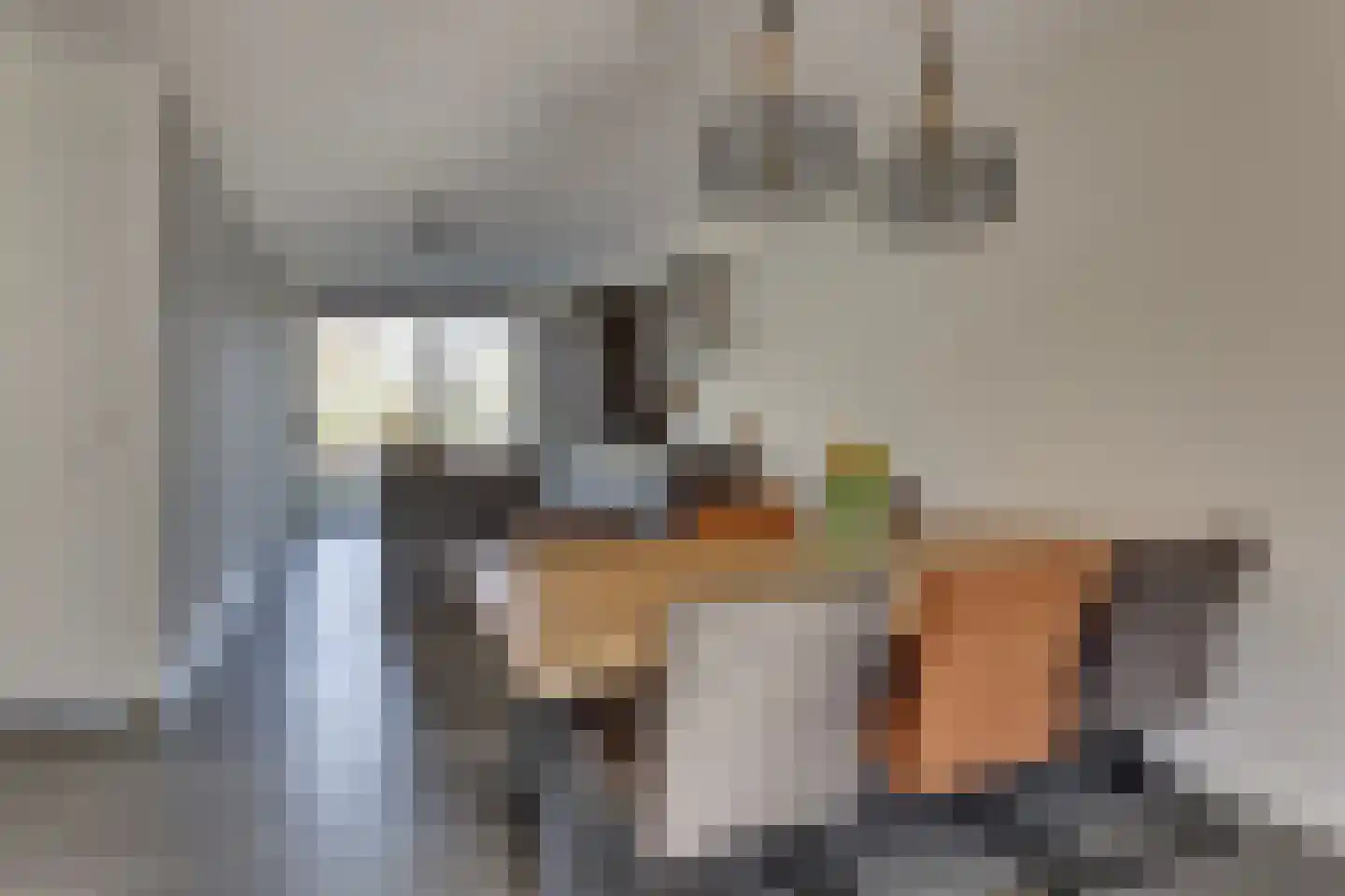 Treurwilg 19 Kampen thumbnail 24