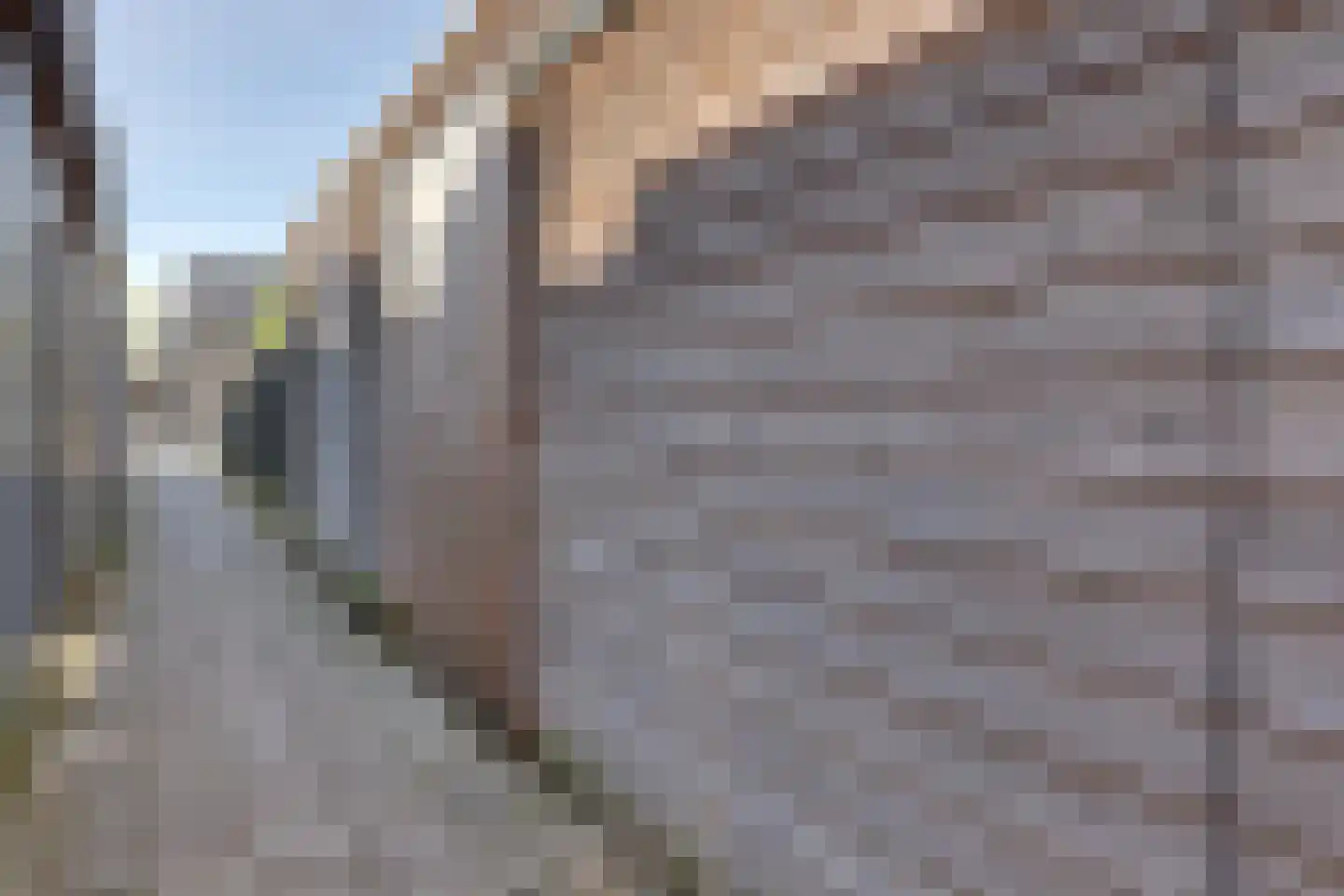 Treurwilg 19 Kampen thumbnail 32