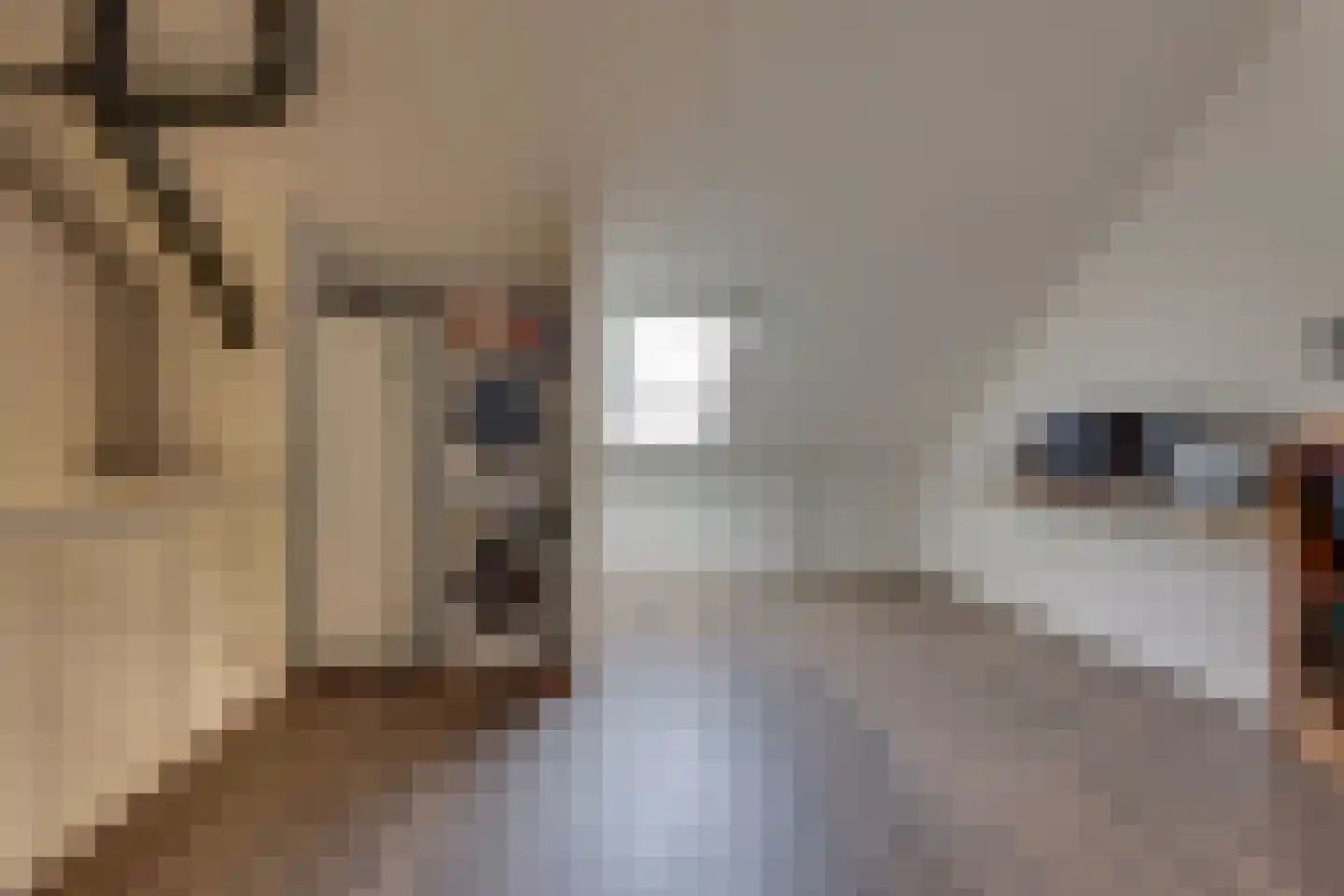 Treurwilg 19 Kampen thumbnail 47