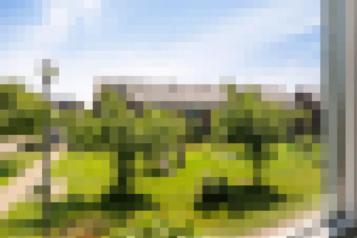 Treurwilg 2 Kampen thumbnail 11