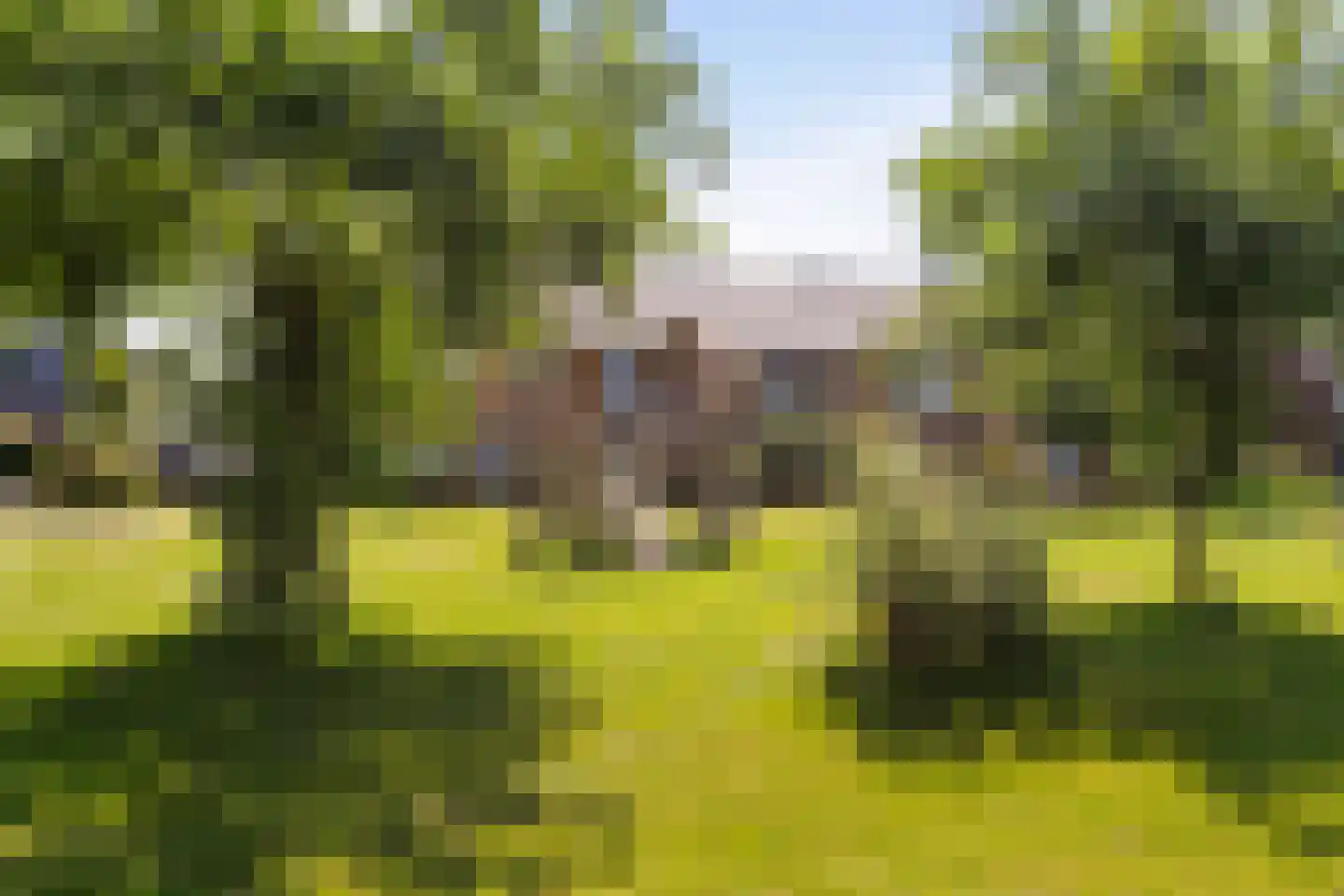 Treurwilg 2 Kampen thumbnail 12