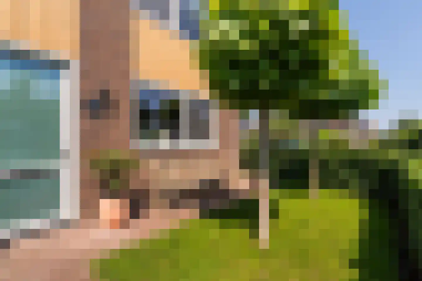 Treurwilg 2 Kampen thumbnail 19