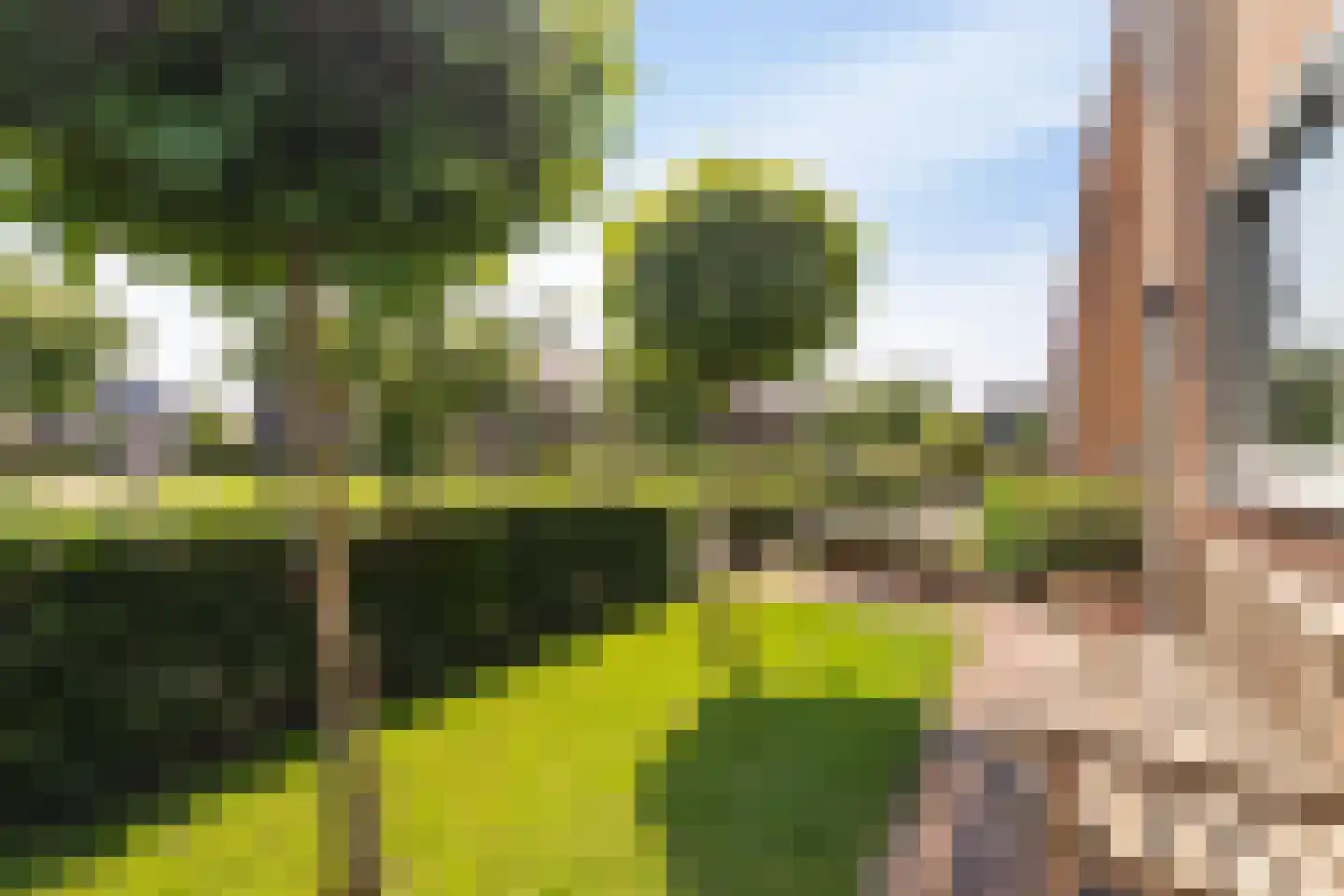 Treurwilg 2 Kampen thumbnail 21