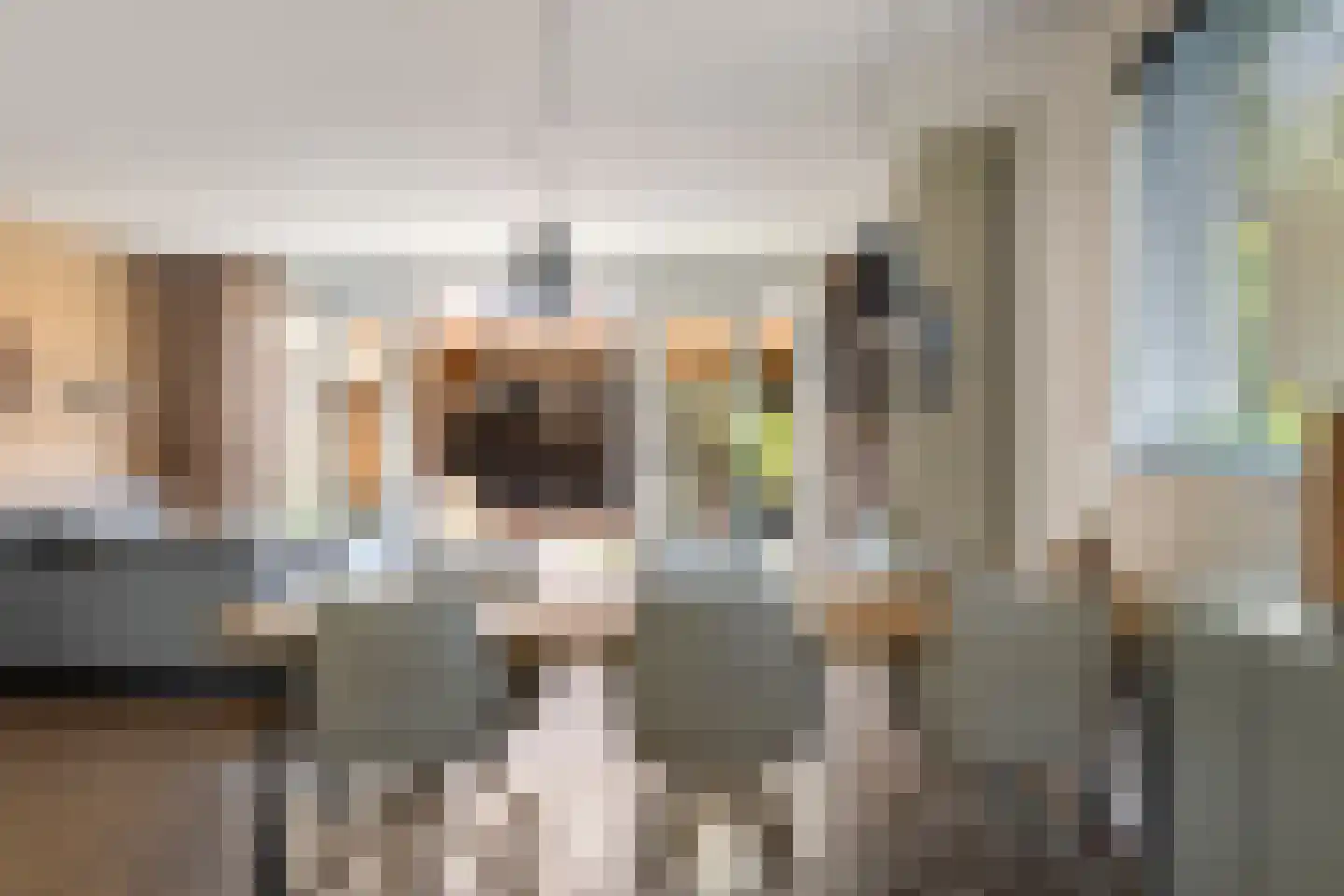 Treurwilg 2 Kampen thumbnail 27