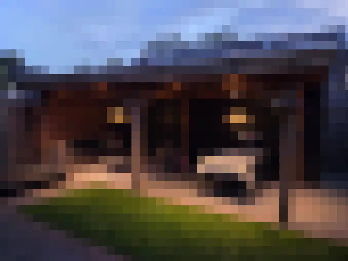 Treurwilg 2 Kampen thumbnail 38