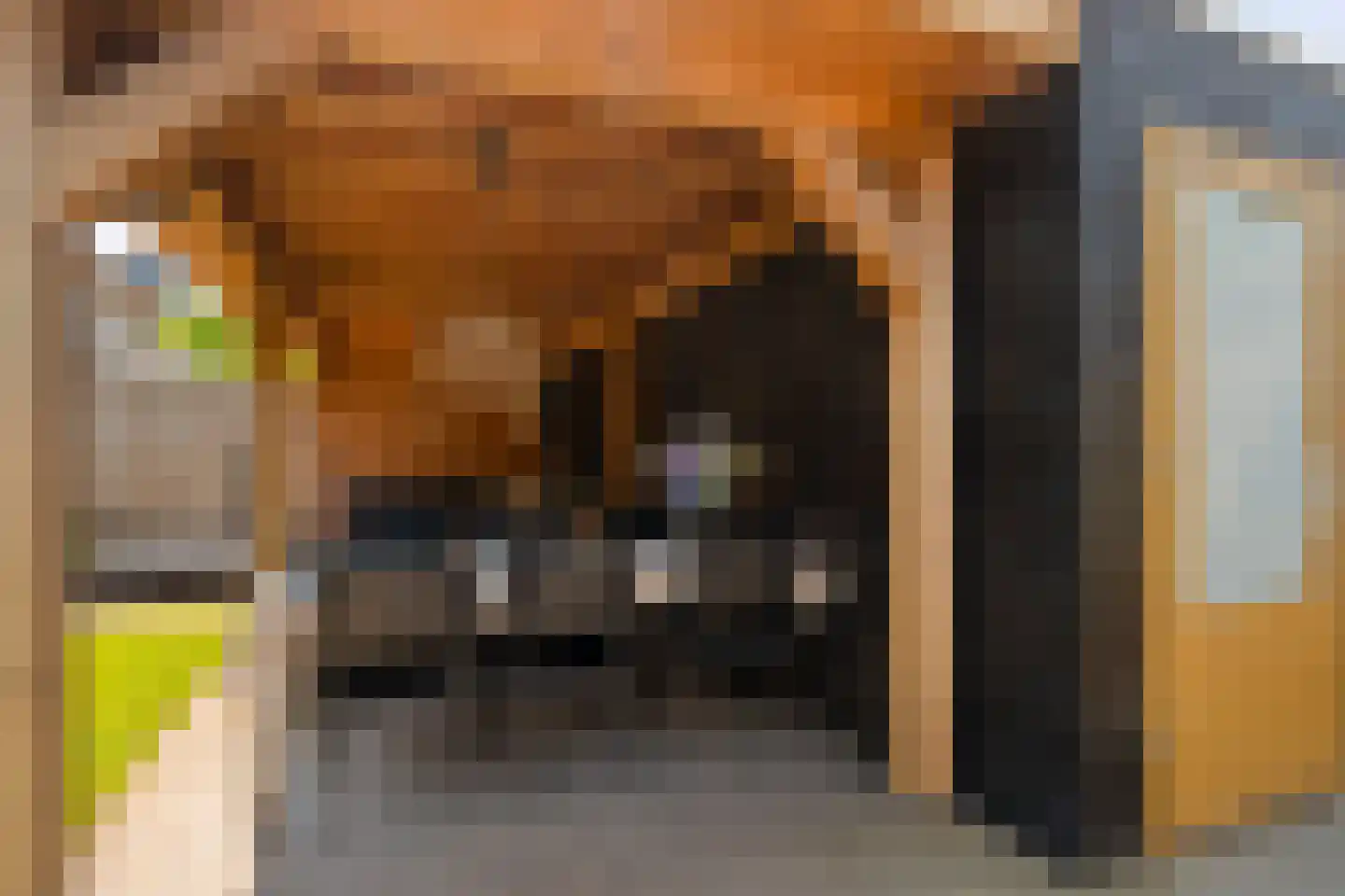 Treurwilg 2 Kampen thumbnail 39