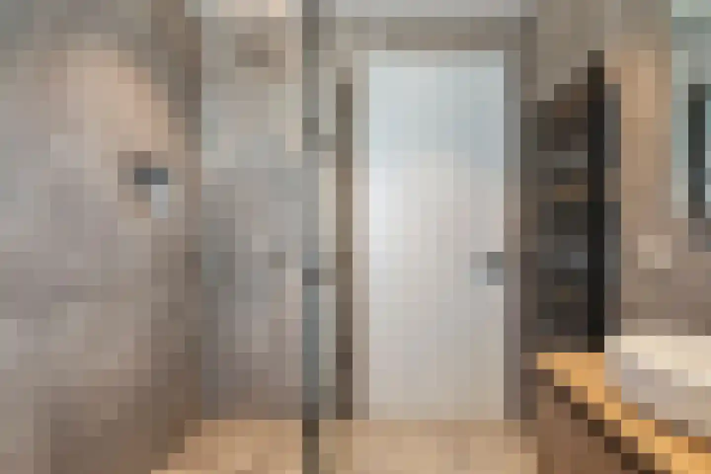 Treurwilg 2 Kampen thumbnail 4