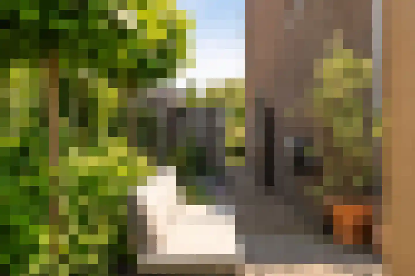 Treurwilg 2 Kampen thumbnail 44