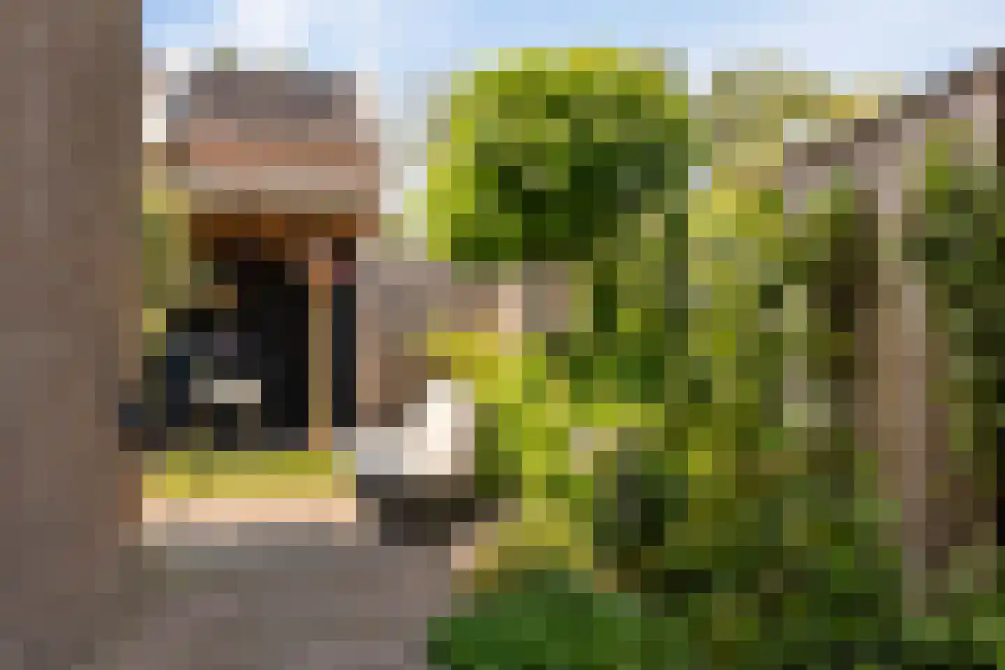 Treurwilg 2 Kampen thumbnail 45