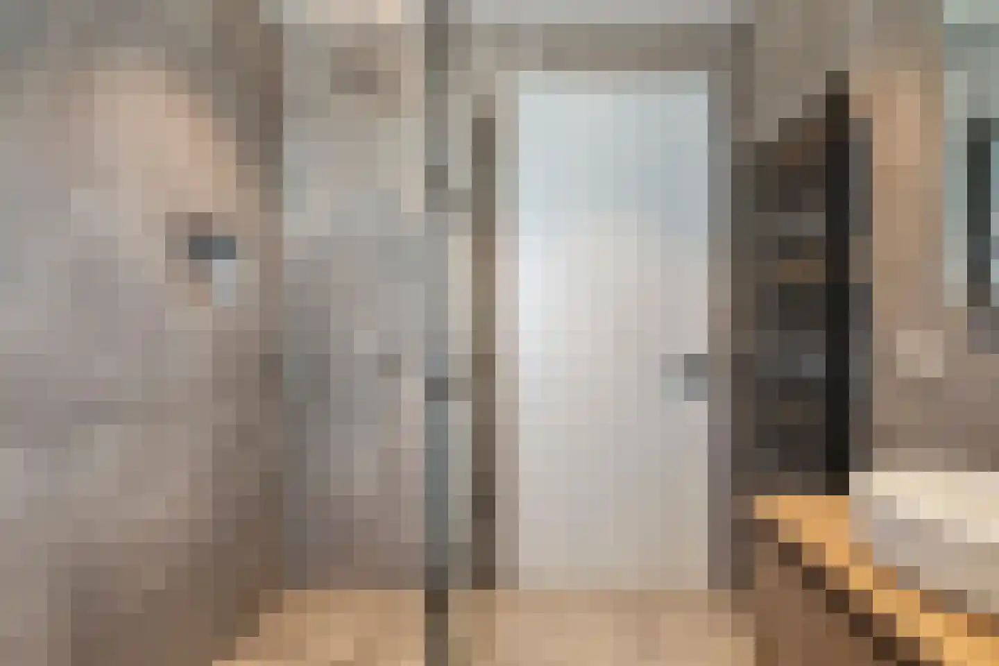 Treurwilg 2 Kampen thumbnail 60