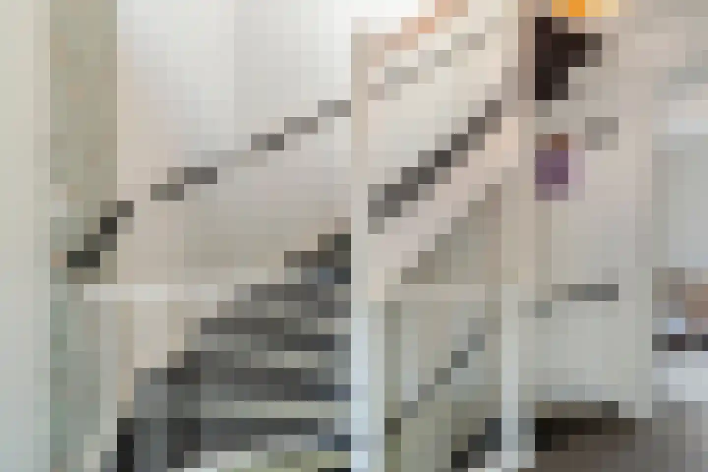 Treurwilg 2 Kampen thumbnail 61