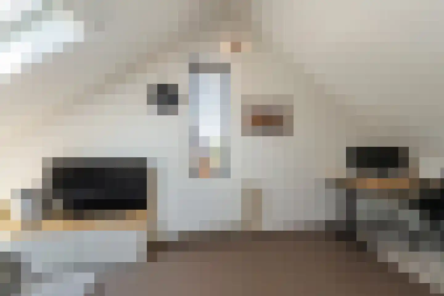 Treurwilg 2 Kampen thumbnail 65