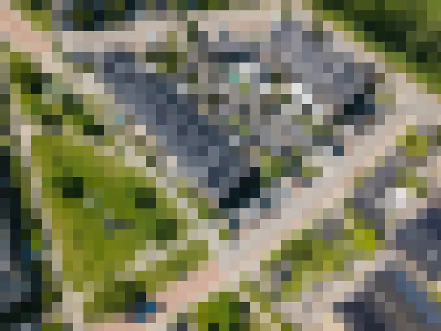 Treurwilg 2 Kampen thumbnail 9