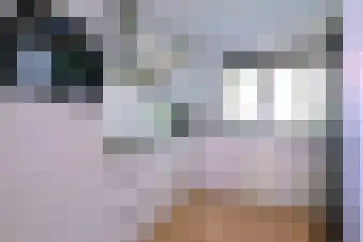 Treurwilgpad 40 Deventer thumbnail 10