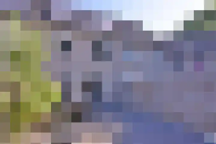 Treurwilgpad 40 Deventer thumbnail 29