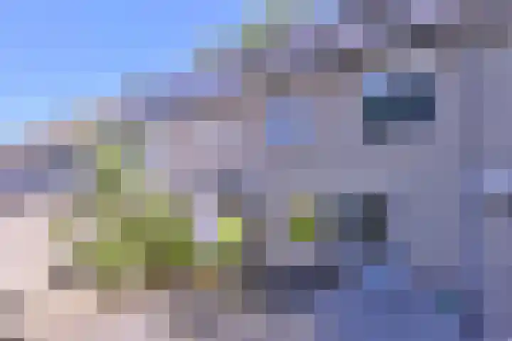 Treurwilgpad 40 Deventer thumbnail 30