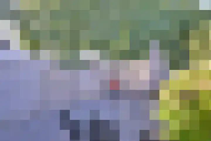 Treurwilgpad 40 Deventer thumbnail 31
