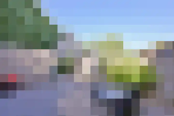 Treurwilgpad 40 Deventer thumbnail 32