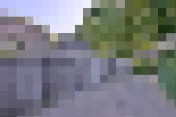 Treurwilgpad 40 Deventer thumbnail 33