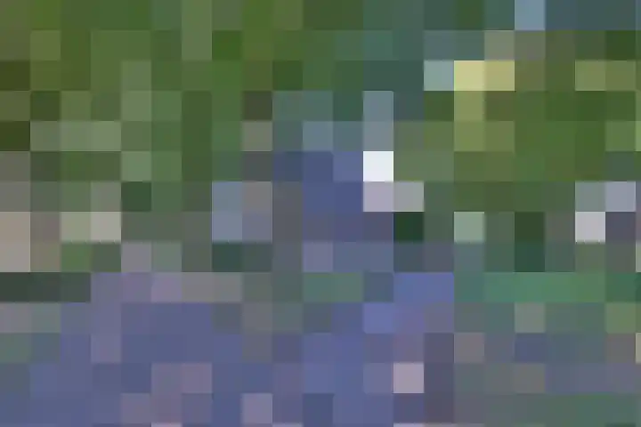 Treurwilgpad 40 Deventer thumbnail 36