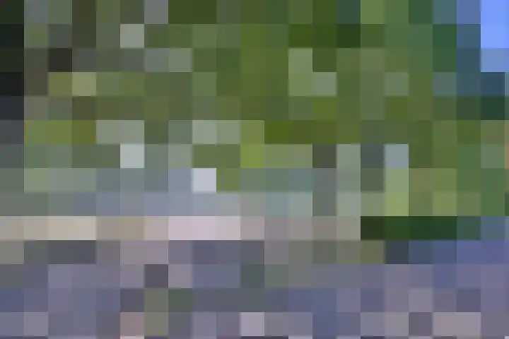 Treurwilgpad 40 Deventer thumbnail 37