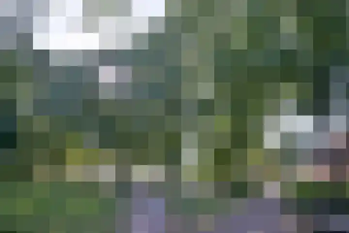 Treurwilgpad 40 Deventer thumbnail 38