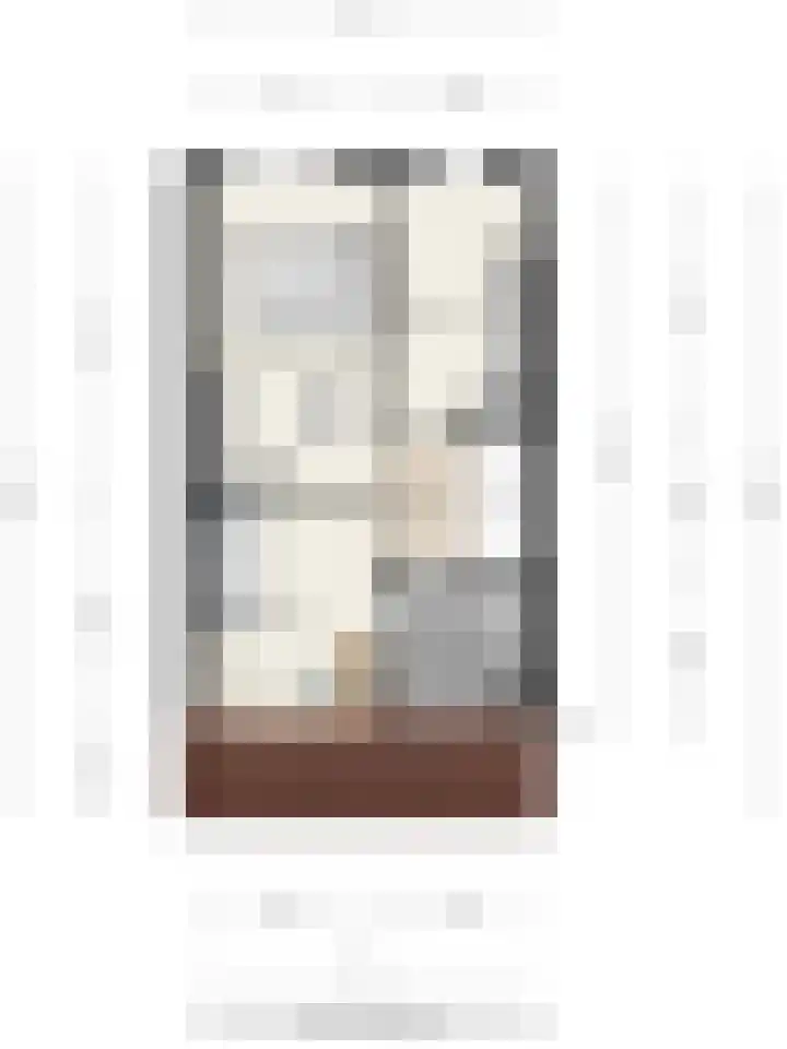 Treurwilgpad 40 Deventer thumbnail 41