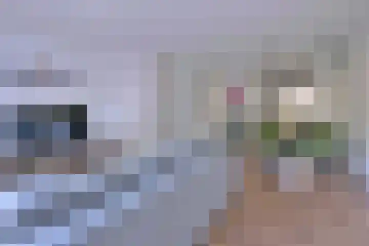 Treurwilgpad 40 Deventer thumbnail 8