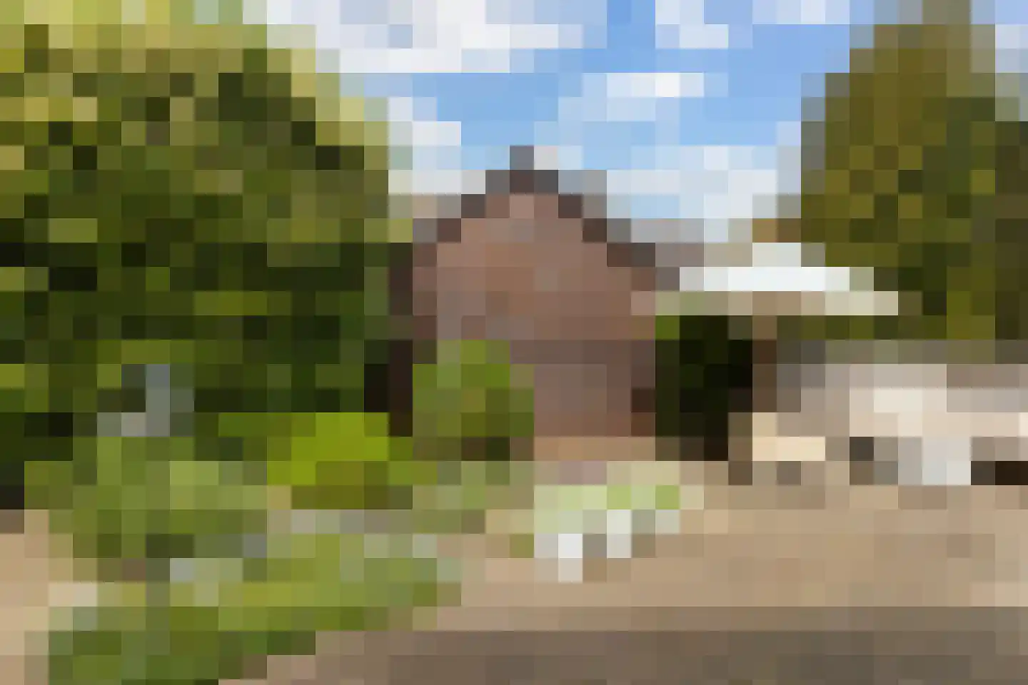 Treverilaan 4 Apeldoorn thumbnail 26