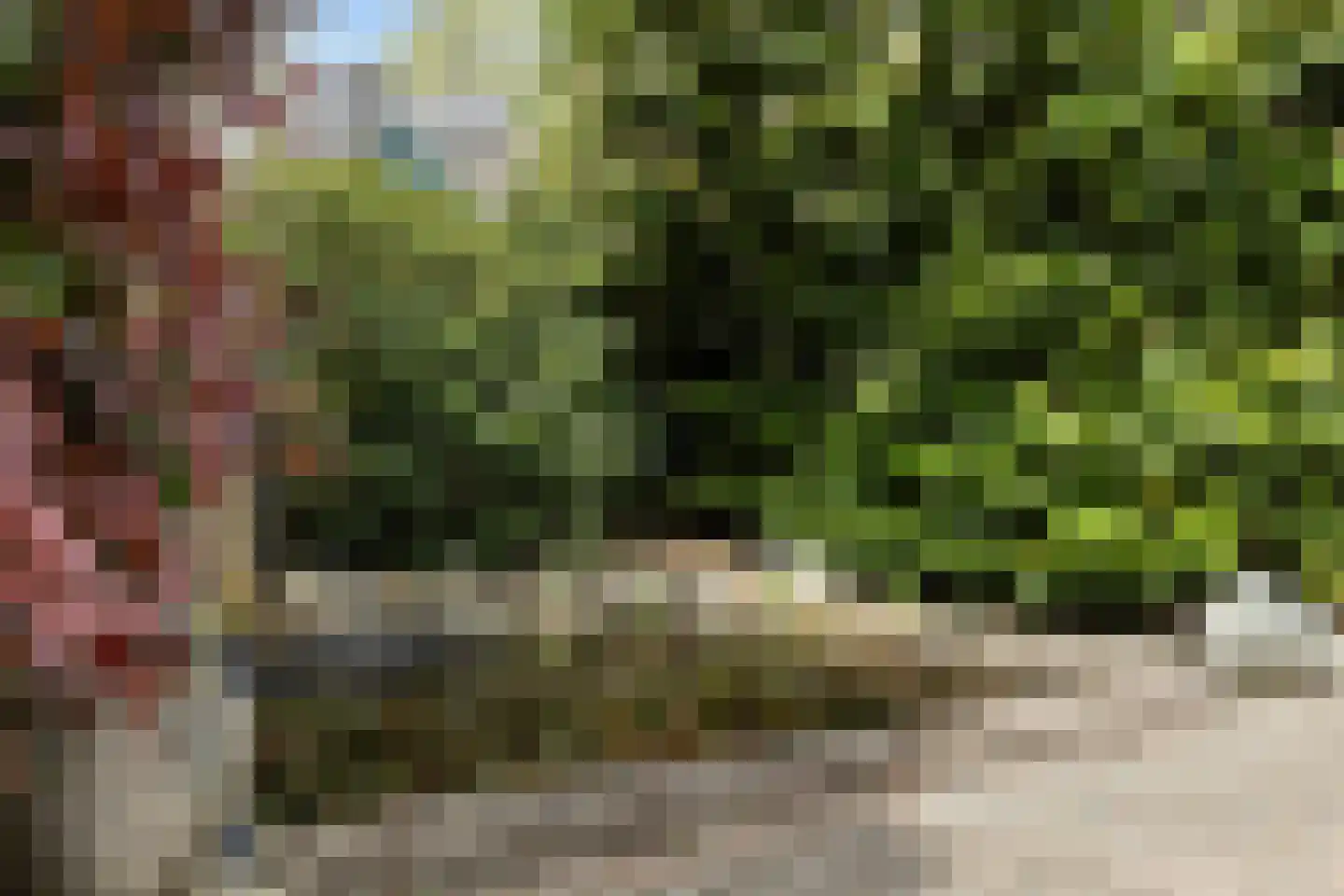 Treverilaan 4 Apeldoorn thumbnail 33