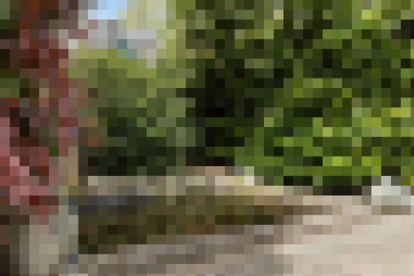 Treverilaan 4 Apeldoorn thumbnail 33