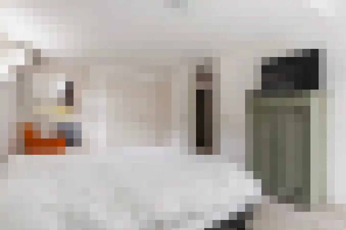 Treverilaan 4 Apeldoorn thumbnail 41