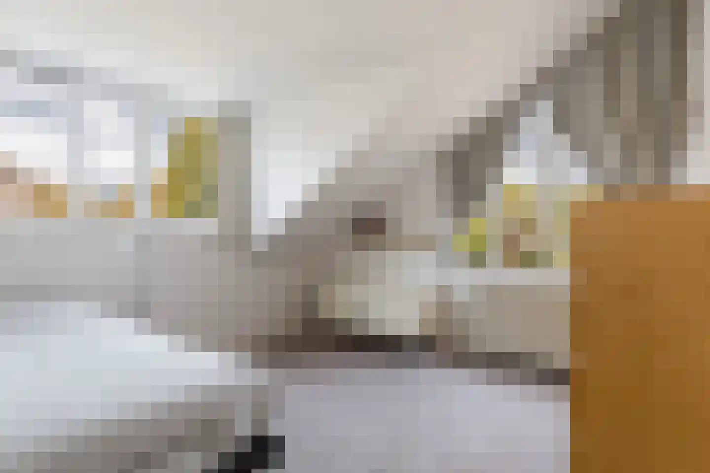 Treverilaan 4 Apeldoorn thumbnail 42