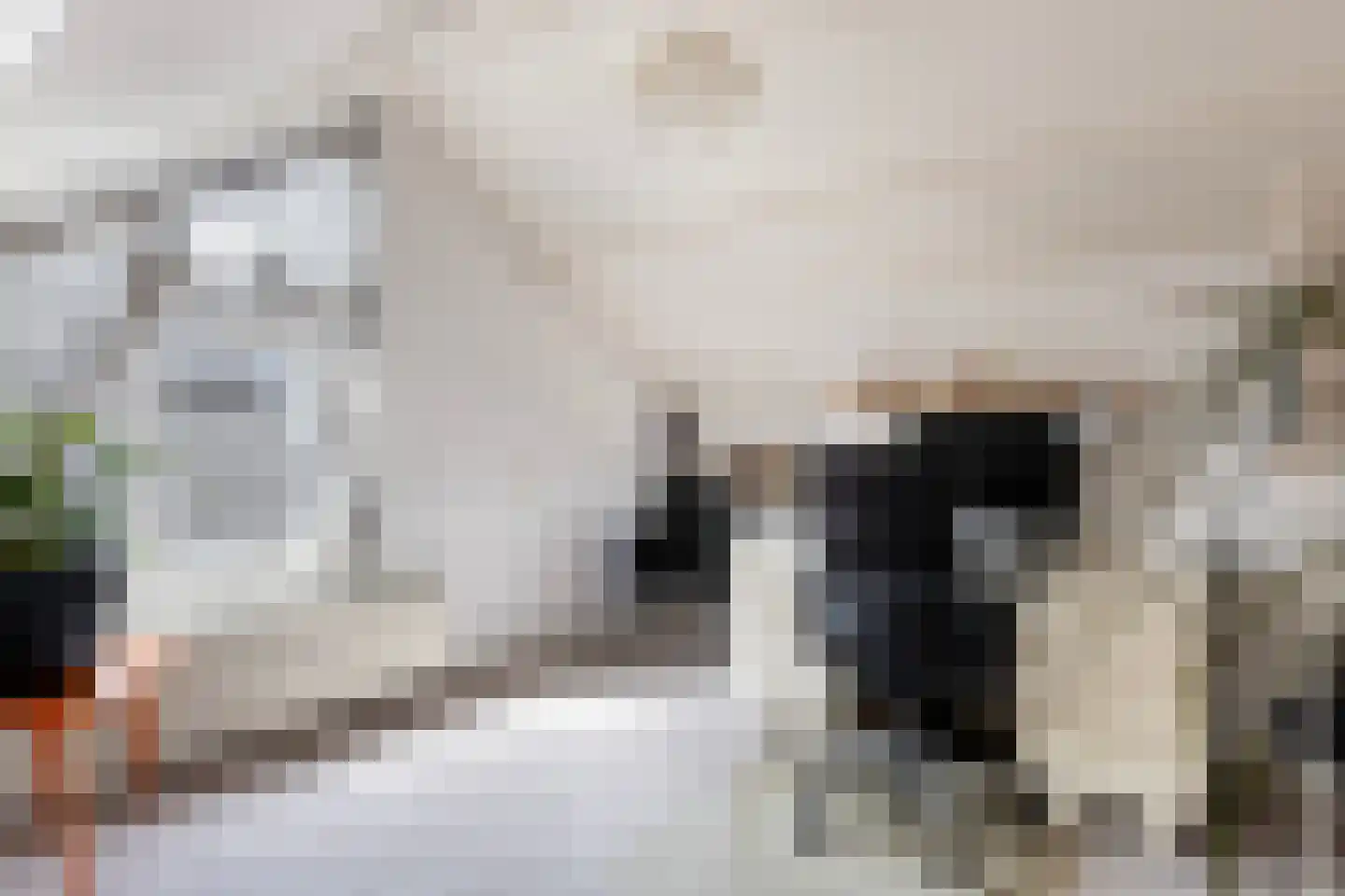 Treverilaan 4 Apeldoorn thumbnail 52