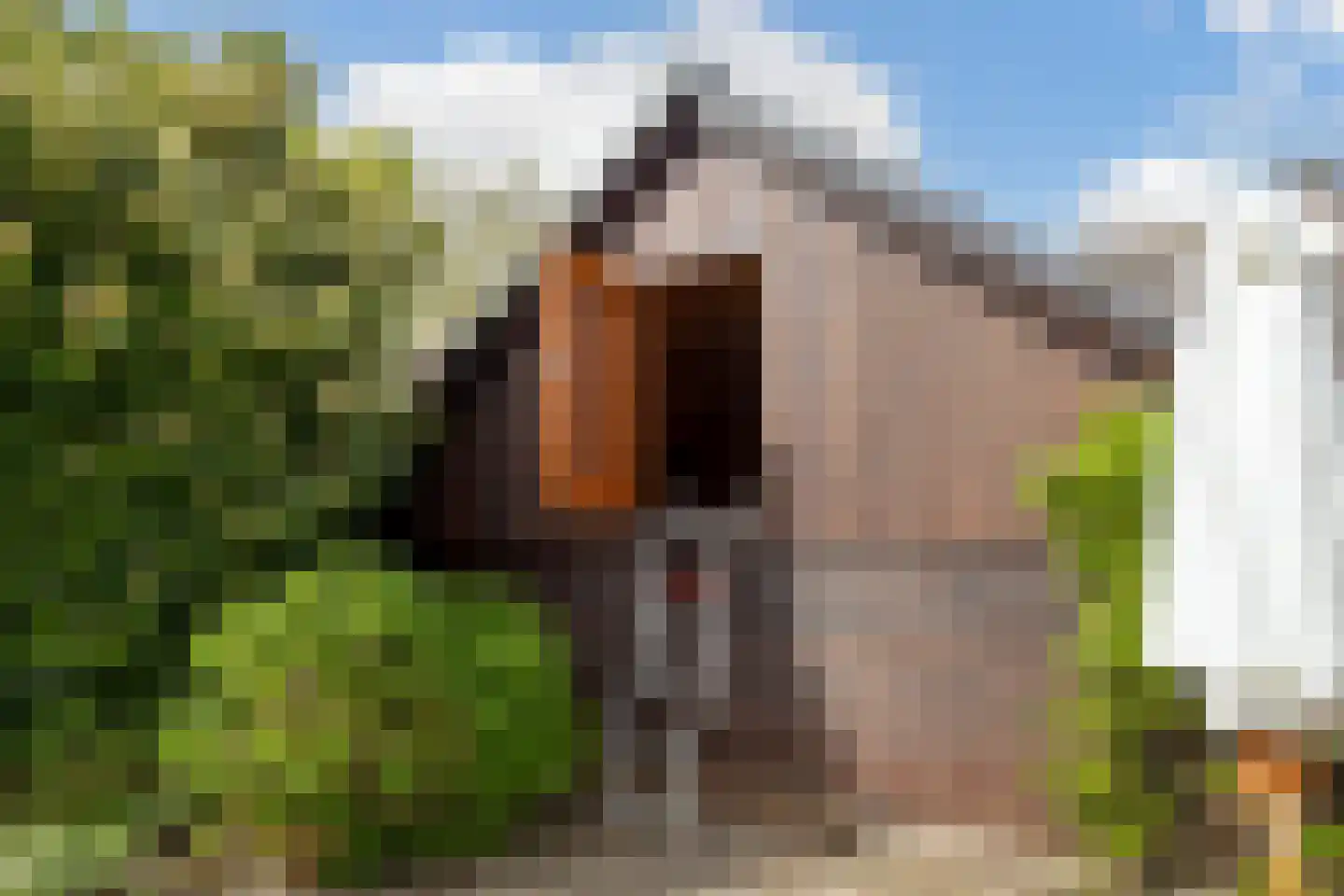 Treverilaan 4 Apeldoorn thumbnail 57