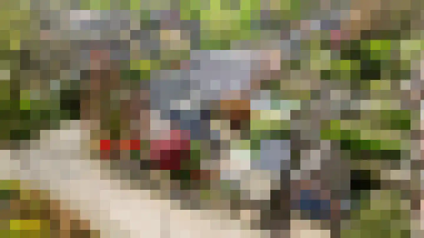 Treverilaan 4 Apeldoorn thumbnail 58