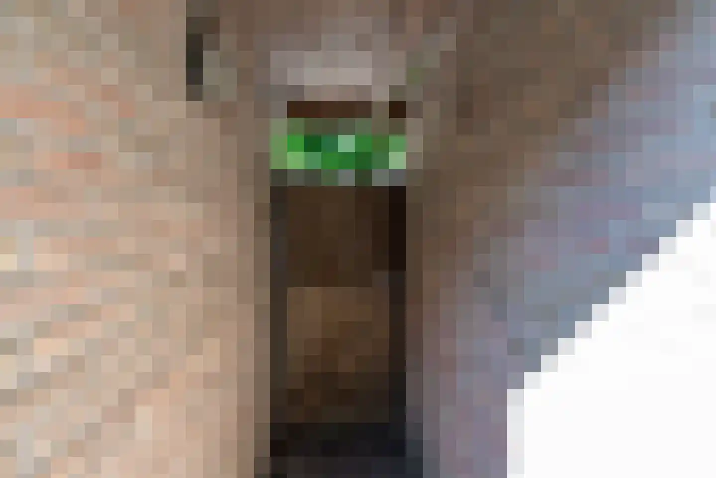 Treverilaan 48 Apeldoorn thumbnail 38