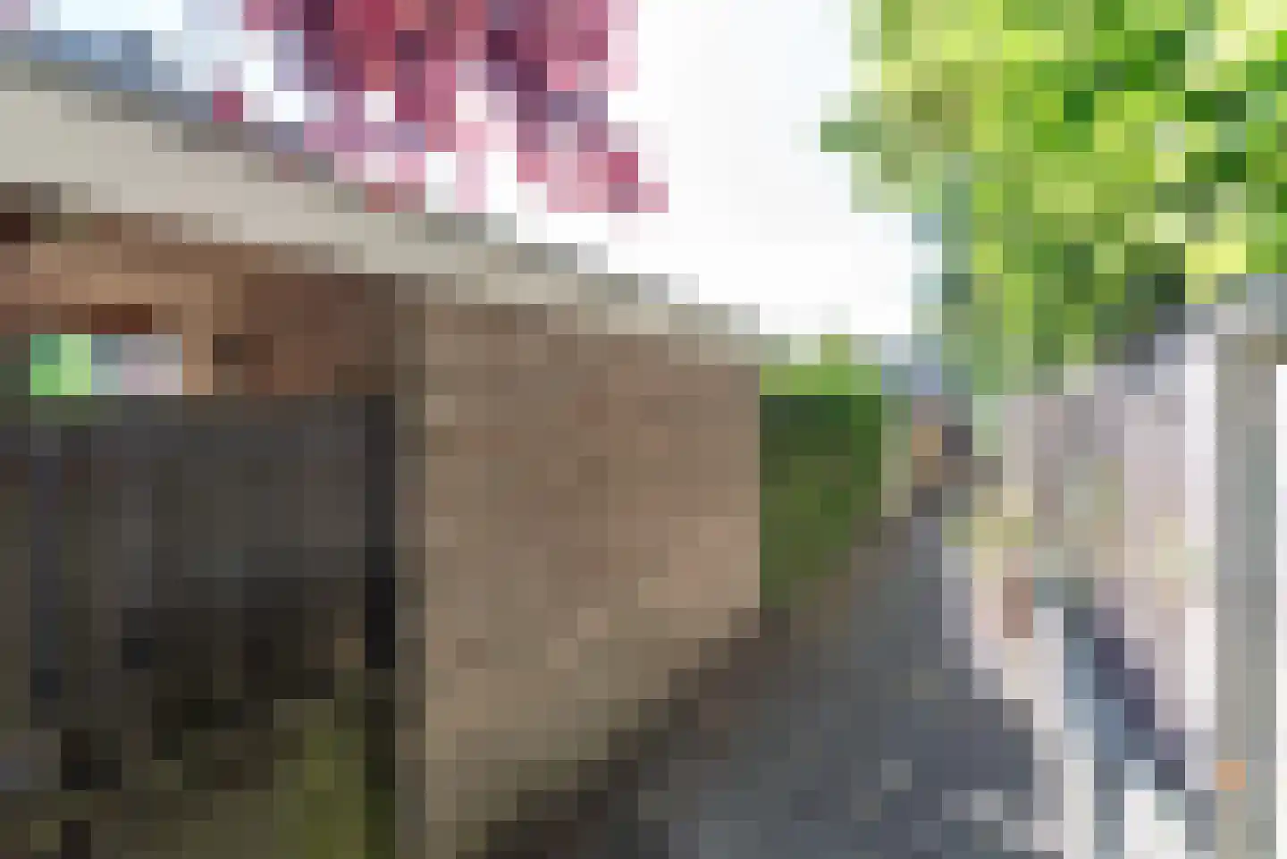 Treverilaan 48 Apeldoorn thumbnail 40