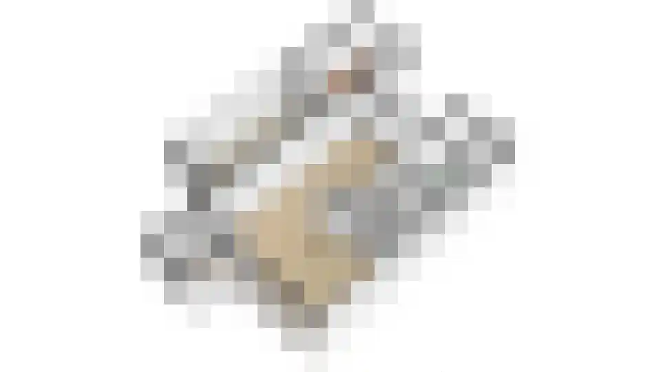 Treverilaan 48 Apeldoorn thumbnail 45
