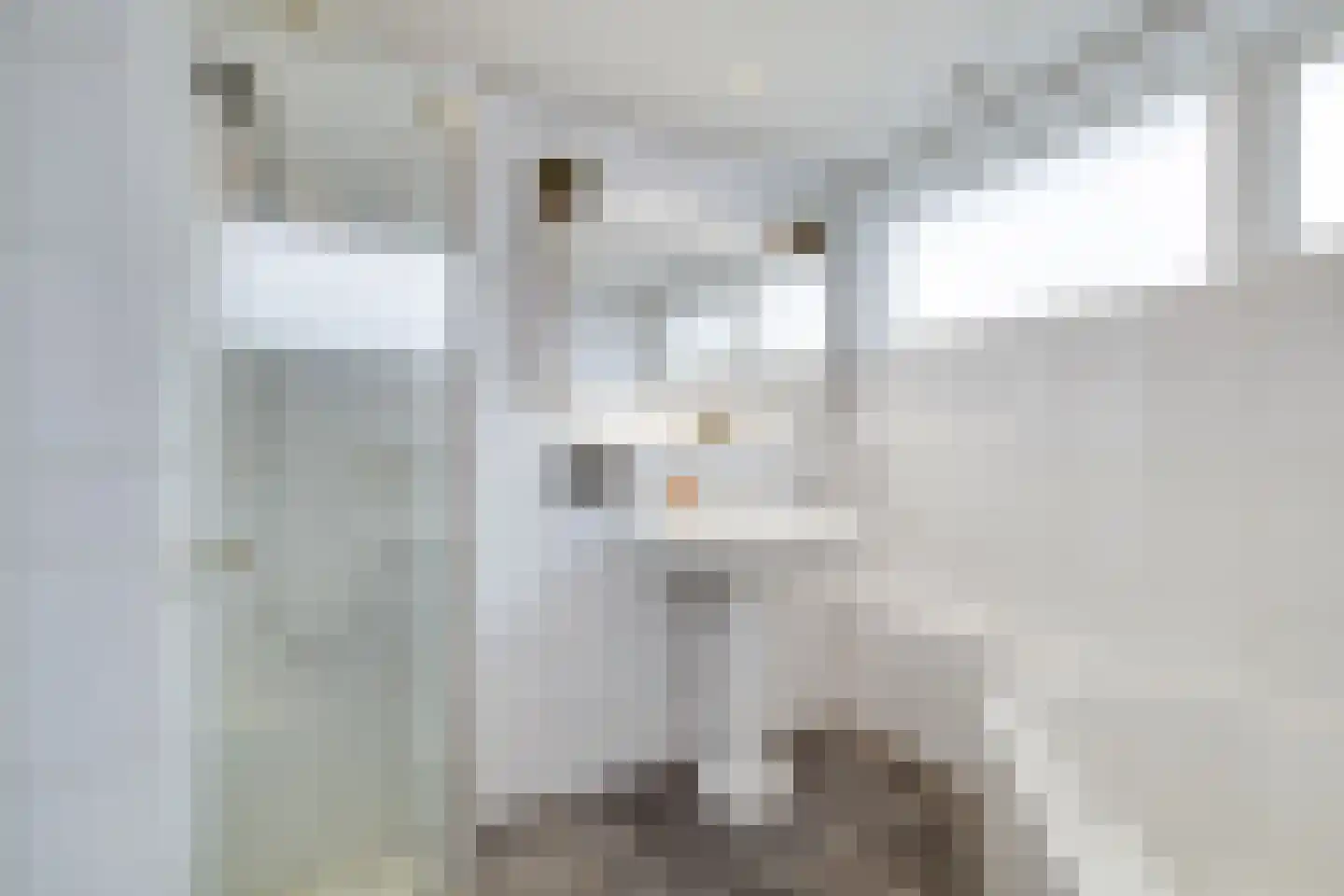 Treverilaan 6 Apeldoorn thumbnail 31