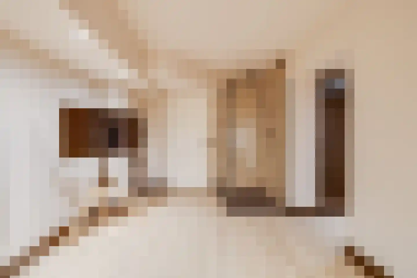 Treverilaan 6 Apeldoorn thumbnail 43