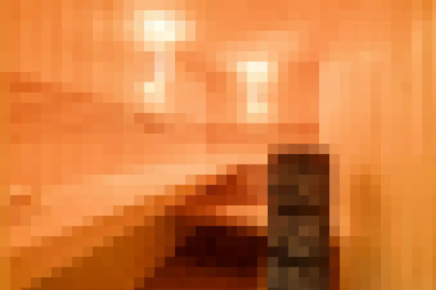Treverilaan 6 Apeldoorn thumbnail 44