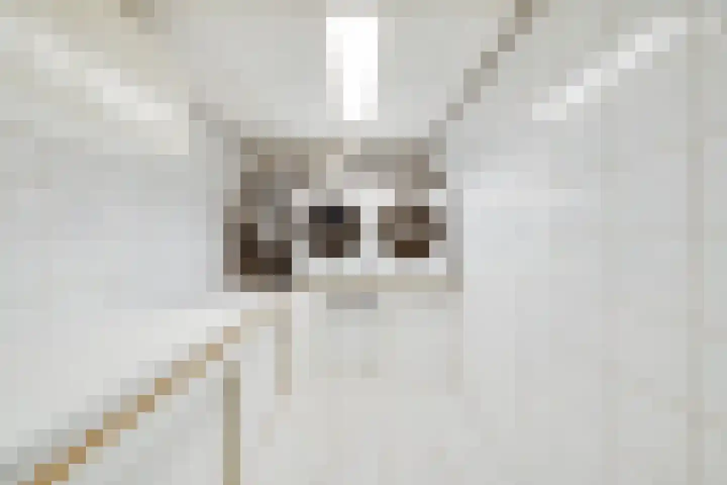 Treverilaan 6 Apeldoorn thumbnail 46